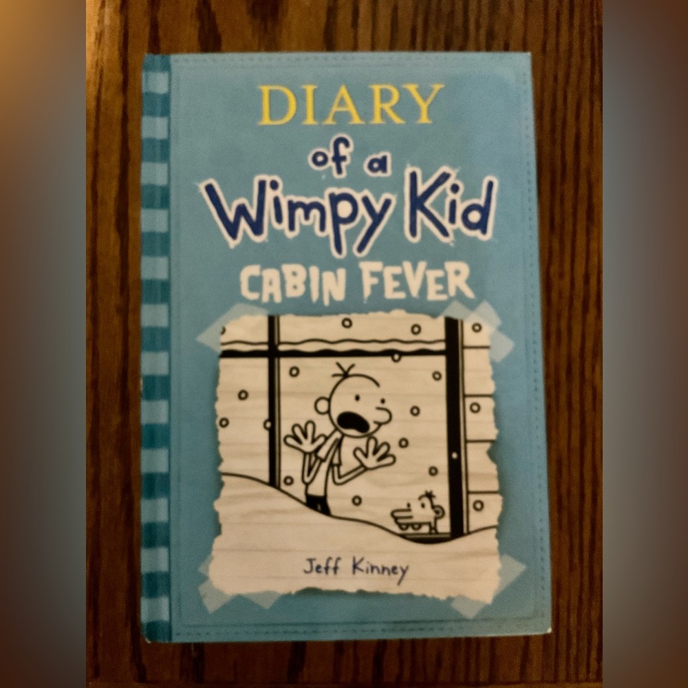 5 DIARY OF A WIMPY KID novels/books hardcover set - Picture 11 of 14